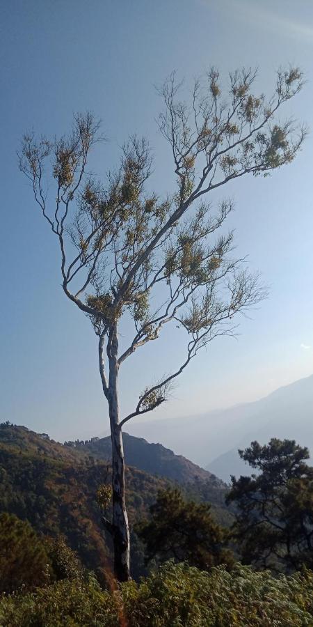Ale Chojeke Apartment Kalimpong Bagian luar foto
